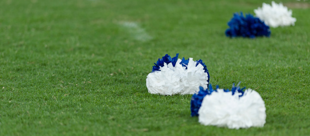 Pom poms on grass field