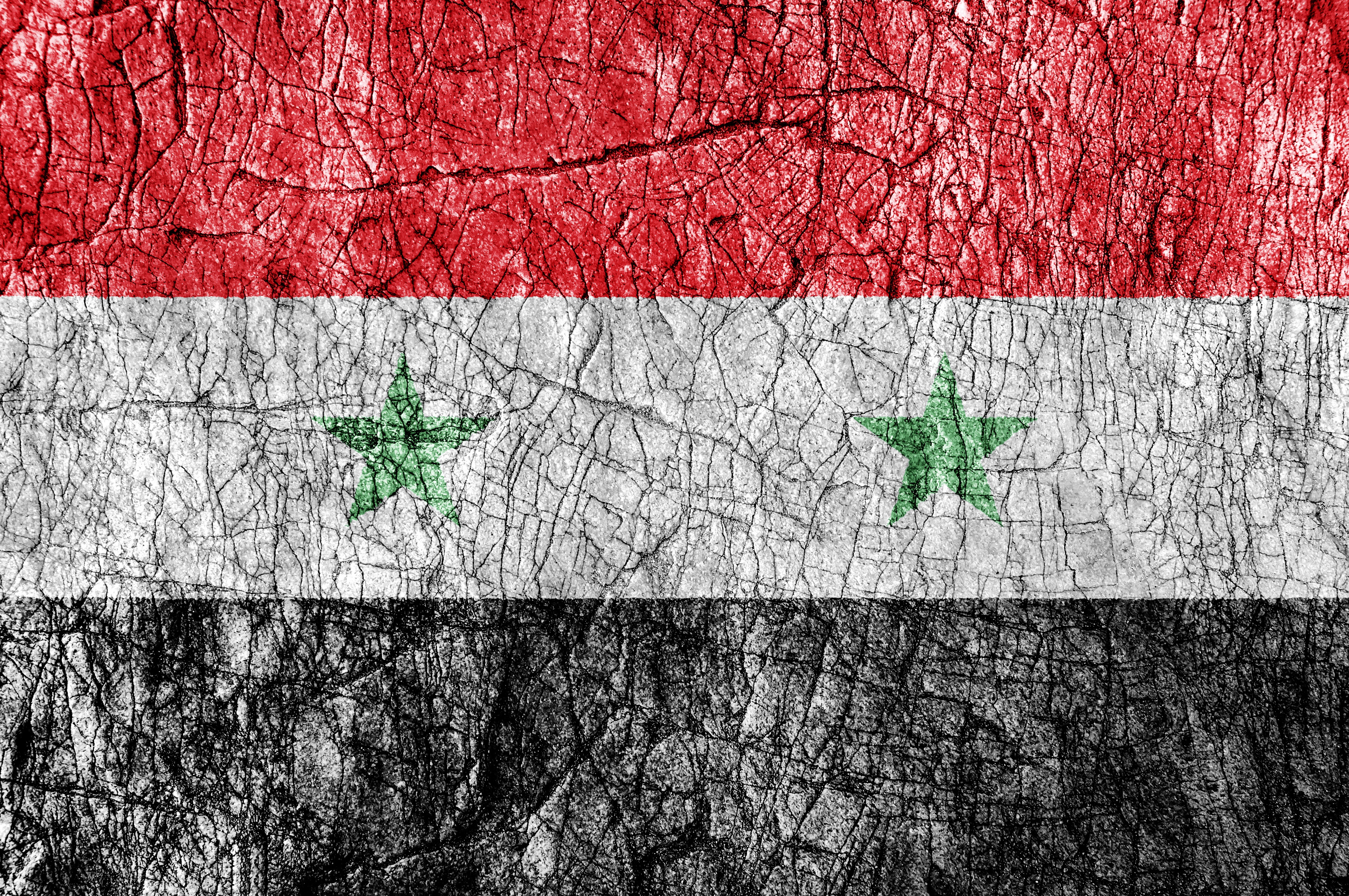 Grudge stone painted Syria flag