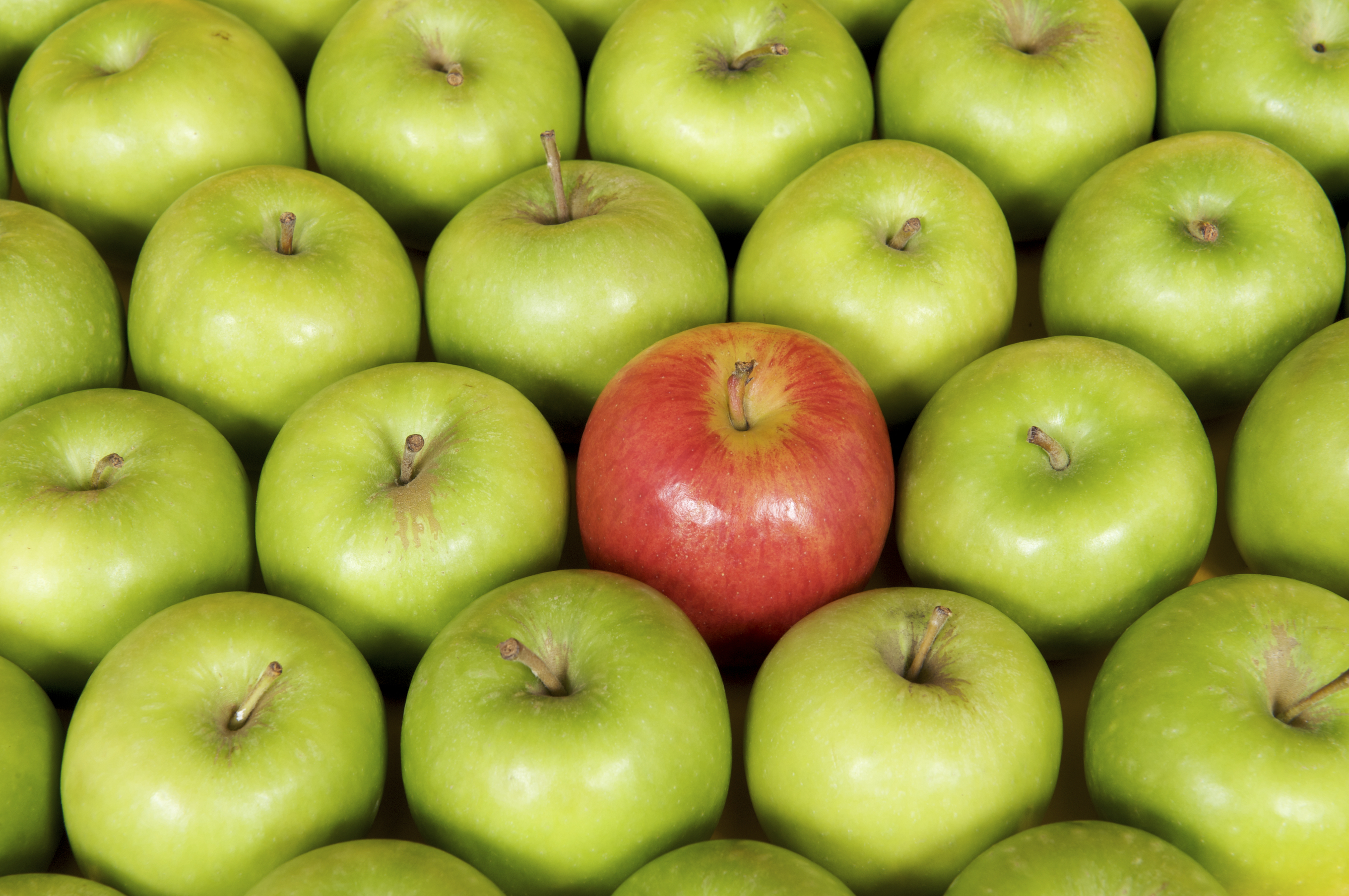 Red apple among green