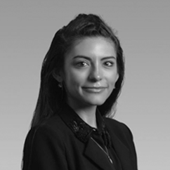 Read more about Inna Rudolf