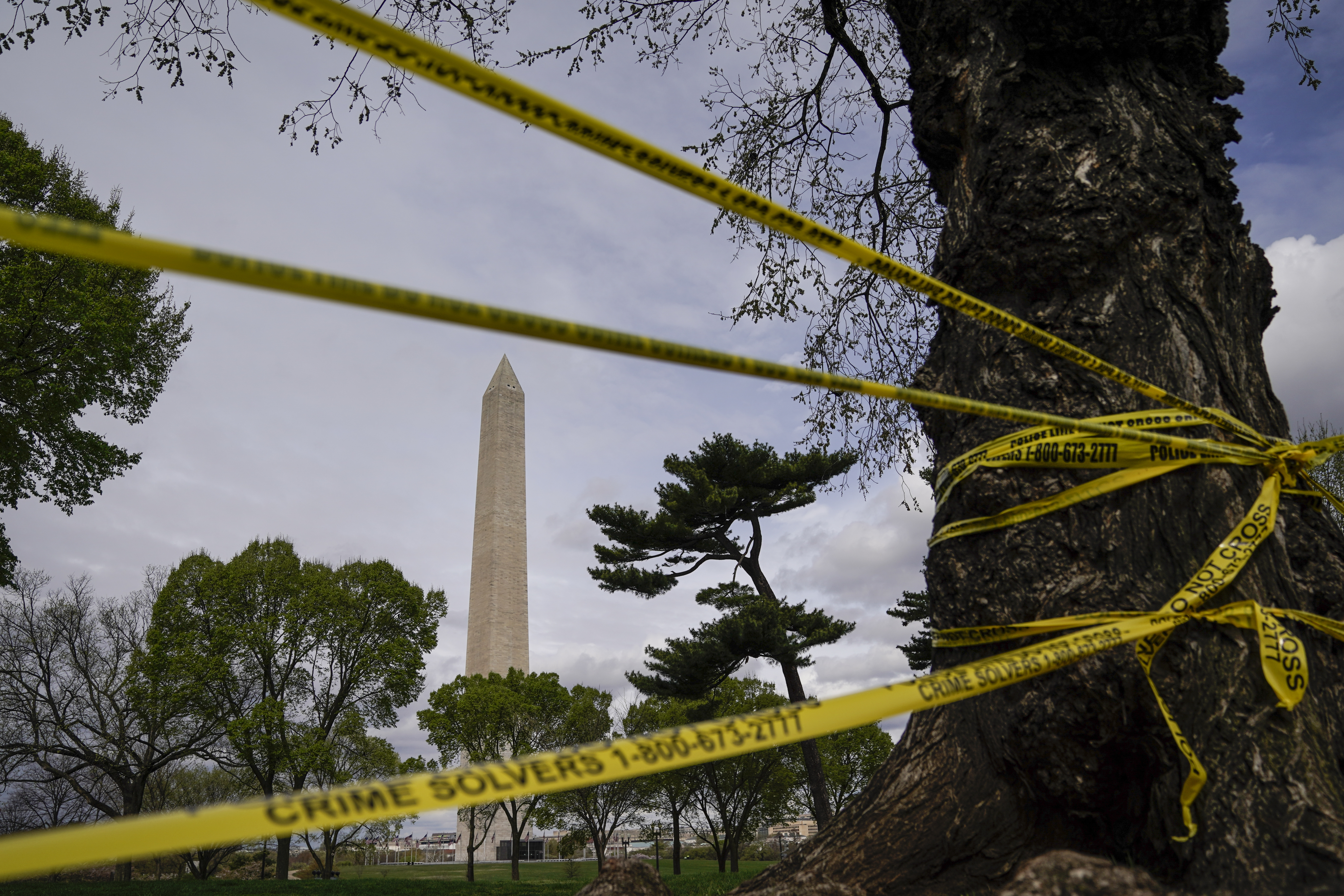 WASHINGTON, DC - MARCH 31: Roads surrounding the Tidal Basin and National Mall are closed to all traffic due to concerns with the spread of the coronavirus on March 31, 2020 in Washington, DC. To prevent the spread of COVID-19, Virginia, Maryland and the District of Columbia have all announced stay-at-home orders this week, which strongly discourage residents from leaving home unless absolutely necessary or essential. (Photo by Drew Angerer/Getty Images)