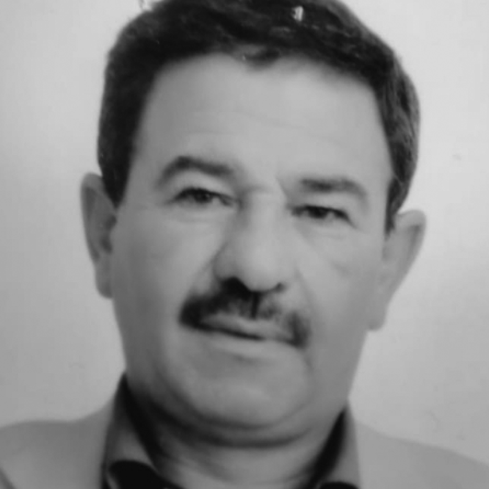 Read more about Saad Abu Hammour