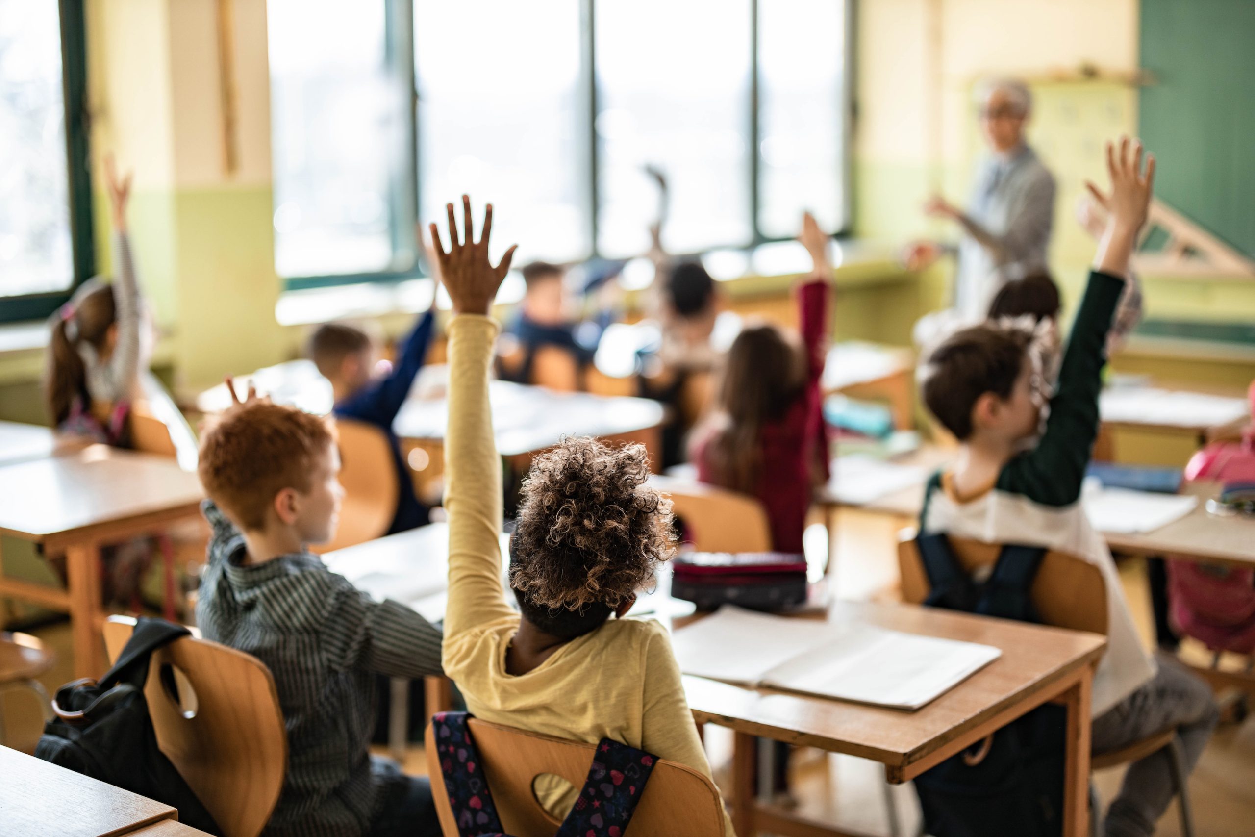 Back view of large group of elementary students raising hands to answer teacher's question on a class at school. Focus is on girl in the foreground.