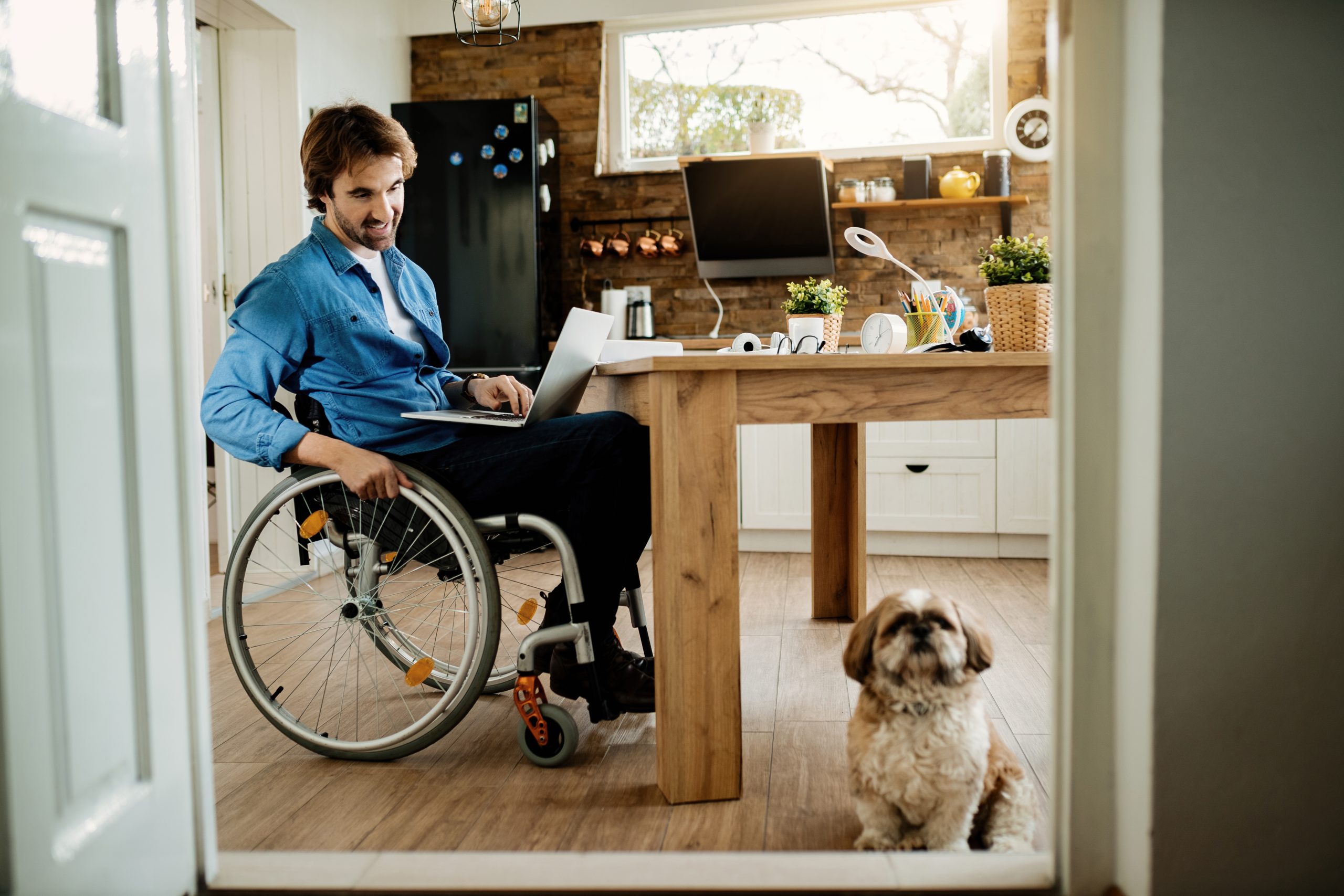 Happy businessman in wheelchair  looking at his dog while working on laptop at home.